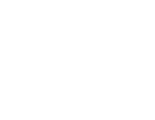 Baqueano